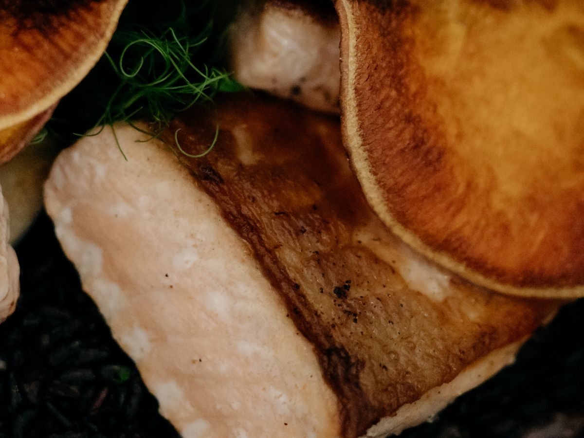 fischgericht-takeaway-purbach Frisch gebackene Pizza aus dem Steinofen bei Giuseppe in Purbach